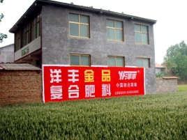  玉环如何让墙体广告展现最大化效果