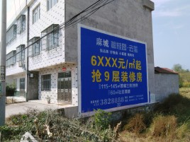  玉环墙体广告质量分析