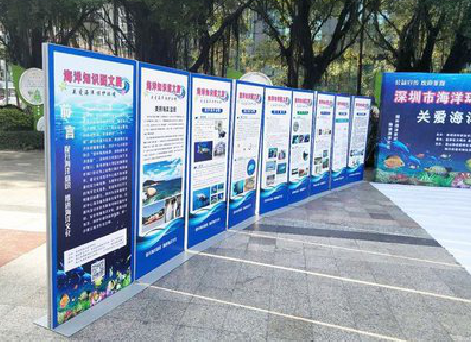  玉环KT板的种类和知识。